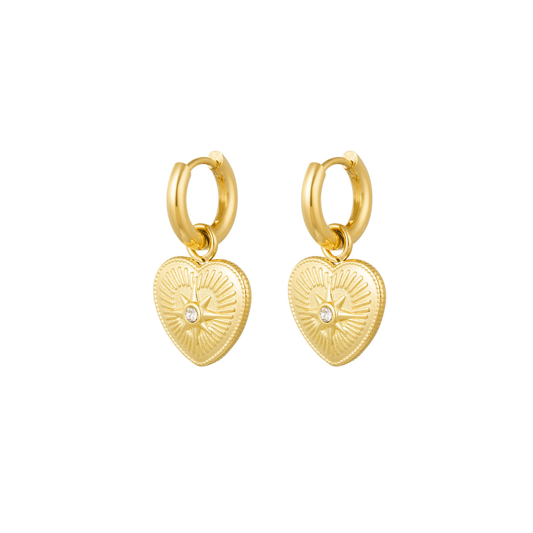 Shiny Heart Earrings Goud