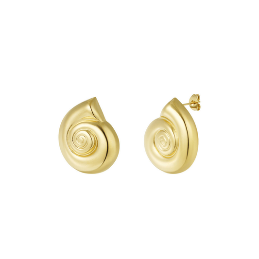 Shell Earrings